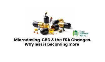 Microdosing CBD in 2026 – Why Less Is Becoming More