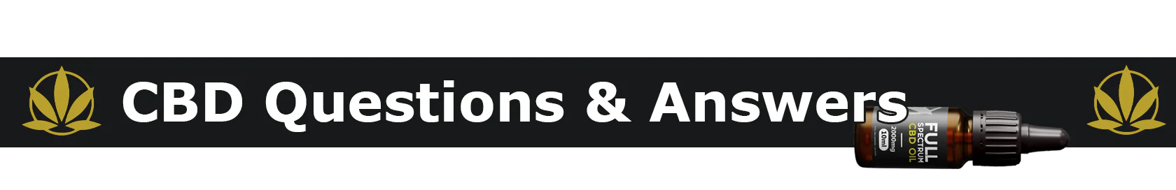 Homepage Banner no text PC