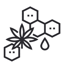 What are the different types of CBD?