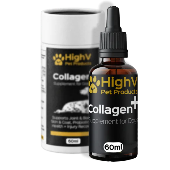 Collagen Oil for Dogs