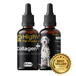 HighV Collagen Oil for Dogs