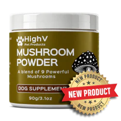 Mushroom Powder for Dogs