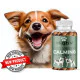 Calming Dog Treats