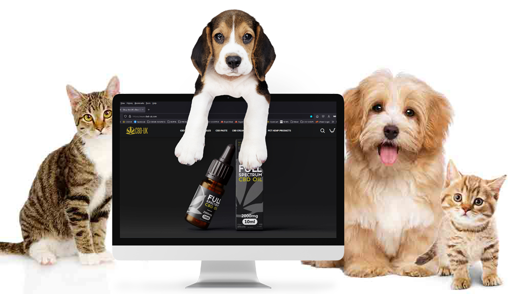 Pet CBD