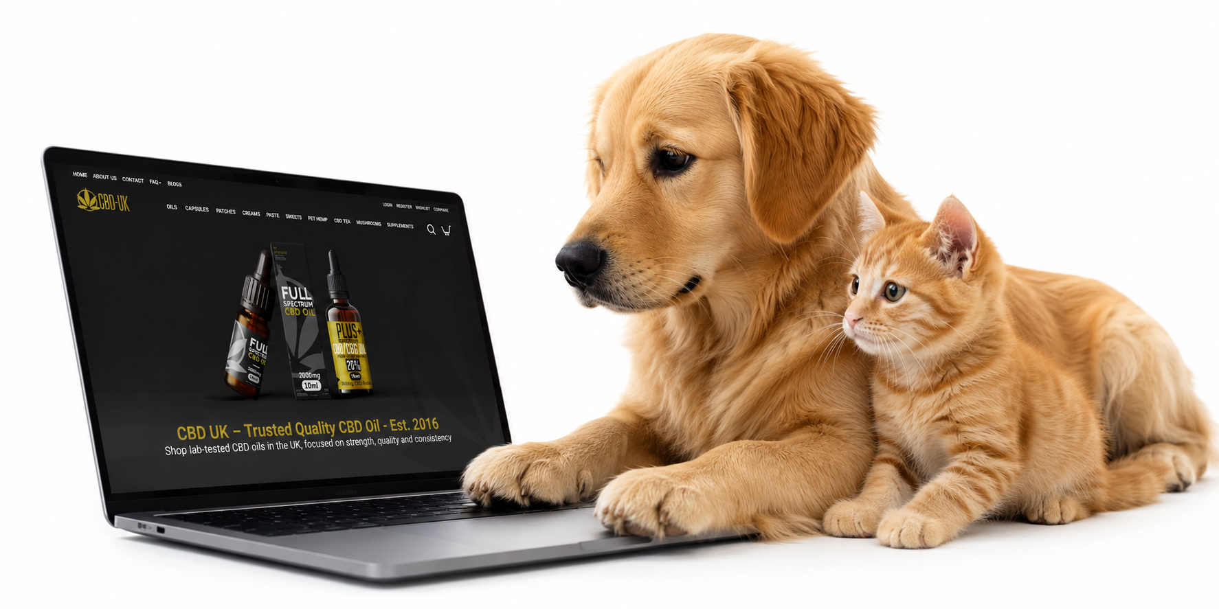 Pet CBD Oil UK guidance for dog and cat owners